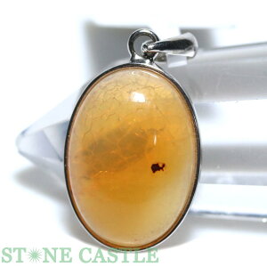 y_g_yy_gzt@C[Ip[ (3A) I[o^ No.19 yp[Xg[ VR ANZT[ fB[X Yz