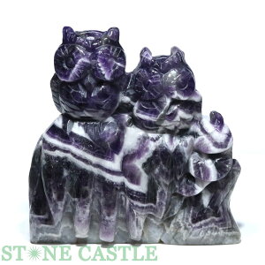 _yuzӂ낤 VFuAWXg No.12yp[Xg[ VR ANZT[ fB[X Yz