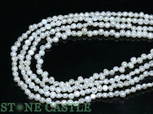 �y�J�b�g�r�[�Y�z�W���p�[�� (�z���C�g) �|�e�g�^ ��4x5mm�y�p���[�X�g�[�� �V�R�� �A�N�Z�T���[ 1�A����z