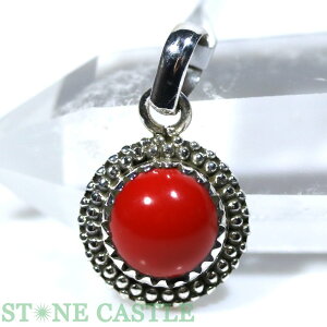 _yy_gzbhR[(ԎX) (C^AY) No.27yp[Xg[ VR ANZT[ fB[X Yz