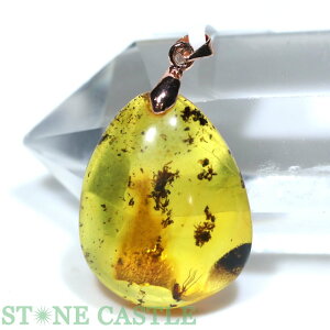 _yy_gz (Ao[) (gAjAY) No.48yp[Xg[ VR ANZT[ fB[X Yz