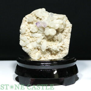 yVX[p[Z[Έ_y΁zZv^[NH[c () (q}EKl[VY) (t) No.17 yp[Xg[ VR ANZT[z