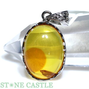 y_g_yy_gzVR (Ao[) (sv925) No.73 yp[Xg[ VR ANZT[ fB[X Yz