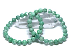 iyuXbgz{Ő (EX) (Y) (8mm) (ӕʍ) (P[Xt) yp[Xg[ VR ANZT[ fB[X Yz