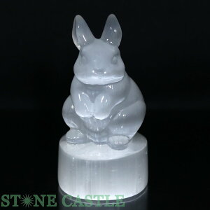 iyuzZiCg  yp[Xg[ VR ANZT[z