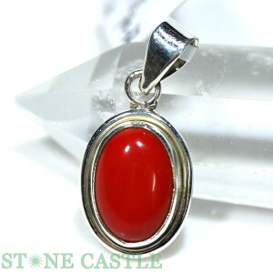 yVX[p[Z[_yy_gzbhR[(ԎX) (C^AY) No.32yp[Xg[ VR ANZT[ fB[X Yz