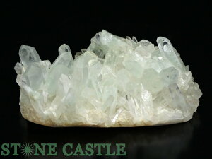 yVX[p[Z[_y΁zO[t@gNX^[ (EX) No.77yp[Xg[ VR ANZT[ fB[Xz