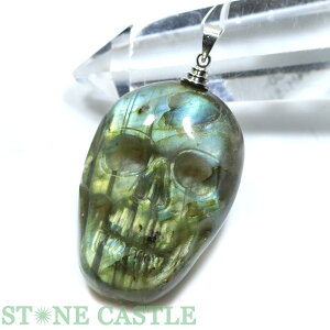 _yy_gzuhCg hN () No.01yp[Xg[ VR ANZT[ fB[X Yz