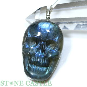 _yy_gzuhCg hN () No.06yp[Xg[ VR ANZT[ fB[X Yz