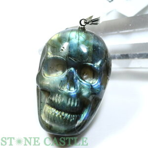 _yy_gzuhCg hN () No.07yp[Xg[ VR ANZT[ fB[X Yz