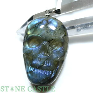 _yy_gzuhCg hN () No.11yp[Xg[ VR ANZT[ fB[X Yz