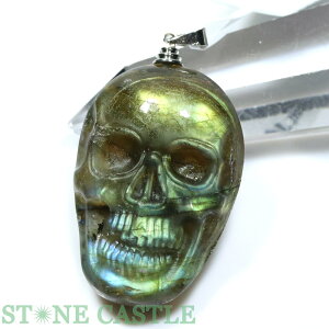 _yy_gzuhCg hN () No.14yp[Xg[ VR ANZT[ fB[X Yz