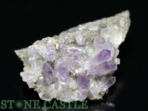 _y΁zxNXAWXg NX^[ (LVRY) () No.74 yp[Xg[ VR ANZT[z