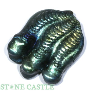 _yuz̒ uhCg No.01yp[Xg[ VR ANZT[ fB[X Yz