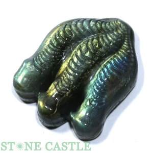 _yuz̒ uhCg No.03yp[Xg[ VR ANZT[ fB[X Yz