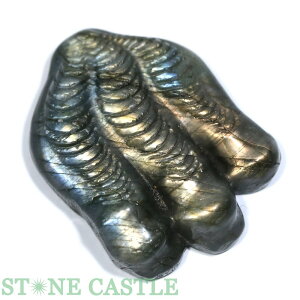 _yuz̒ uhCg No.04yp[Xg[ VR ANZT[ fB[X Yz