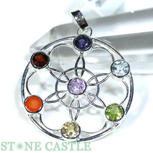 yVX[p[Z[_yy_gzWFXg[ `N No.53yp[Xg[ VR ANZT[ fB[X Yz