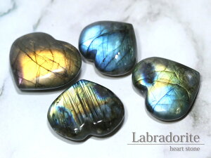 ʌ聙p[Xg[ n[g uhCg (500~V[Y) VR   yp[Xg[ VR ANZT[z