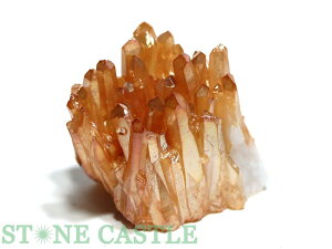 _y΁zS[fI[NX^[ (Y) No.15yp[Xg[ VR ANZT[ fB[Xz