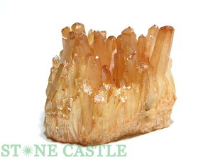 _y΁zS[fI[NX^[ (Y) No.16yp[Xg[ VR ANZT[ fB[Xz