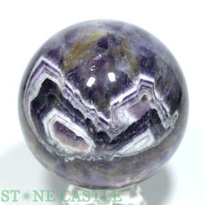 _yu΁zۋ VFuAWXg (EX) 64mm No.64yp[Xg[ VR ANZT[ fB[X Yz