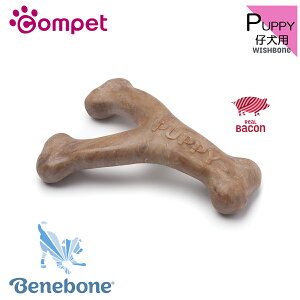 yRybgFzcompet xl{[ ps[ EBbV{[ x[R X[ | t[o[ gC    e | p ps[p TCY _炩 Benebone ybg ybgp ybgpi