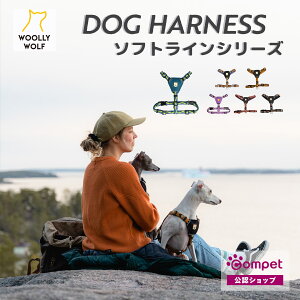 E[[Et \tgC n[lXWOOLLY WOLF  n[lX [h ^ ^ ^ Ro AEghA ȒP 킢 g[jO y tBh EȂ  TXeB