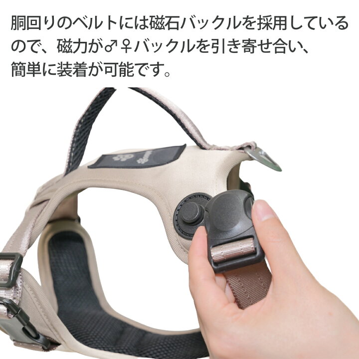 楽天市場】【コムペット公認】コムペット カーリンクハーネス│compet 