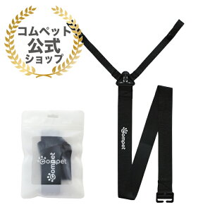 RybgRybg V_[XgbvyJ[gɌyXIpXgbvŎ^тX[YɁ̏i͒Piw̏ꍇNbN|Xgł̔Ƃ