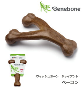 |CgUP݂IJ~J~t[o[gCyxl{[KizEBbV{[ WCAg