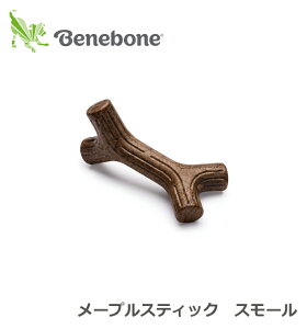 |CgUP݂IJ~J~t[o[gCyxl{[Kiz[vXeBbN@X[@[vEbh