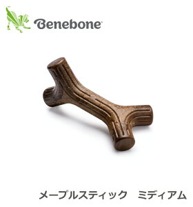 |CgUP݂IJ~J~t[o[gCyxl{[Kiz[vXeBbN@~fBA@[vEbh