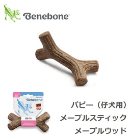 【ベネボーン国内正規品】パピー（仔犬用）メープルスティック　メープルウッド