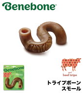 ★ワンちゃんやみつき！カミカミフレーバートイ【ベネボーン国内正規品】ベネボーン トライプボーン　ス…