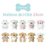 【正規代理店】モルチーズ ぬいぐるみ Lサイズ 26cm モルチーズ&レトリバー マルチーズ もちもち マスコ…
