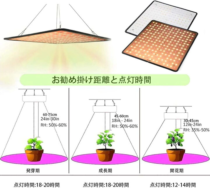 楽天市場】着後レビューで特典☆ 植物育成ライト LED 植物ライト 400W 