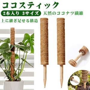 クーポン+P2倍!レビュー特典中★ ココスティック 2点セット モンステラ支柱 観葉植物 支柱 園芸支柱 植物 ガーデニング用 花ささえ ココナッツ支柱 植物サポート つる性植物 トマト ポトス