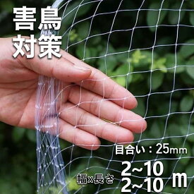 セール延長★P5倍＋特典!! 【サイズ豊富★2mから10m選択可能！】 防鳥ネット 25mm菱目 鳥よけネット鳩よけネットベランダ鳥避けネッ 落ち葉よけネット トぼうちょうネットかすみ網幅5m×長さ5m果樹守りや野菜栽培猫侵入脱出防止透明色2.5cm 細目
