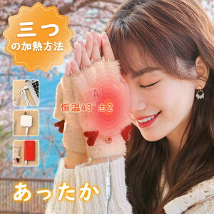 手袋 暖房手袋 USB接続で加熱 あったか手袋 レディース 洗える 保温手袋 パソコン作業 手袋 ヒーターグローブ USB手袋 ヒーターグローブ ニット手袋 防寒グローブ ハンドグローブ USBウォーマ