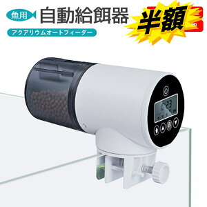 ő100%obN! vGgꁚ a  a a@ a@ t[h^C}[  zʒ߉\ Ǝ蓮̗p Zbg a GT a 