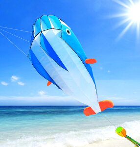 yGg[P5{!27܂!!z yEEʓrz 3DJCg CJ 2.2m t[C_[ 300mm g  g   X|[c ڗ n