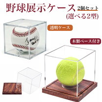 楽天市場】ボールケース（種類（野球・ソフトボール）準硬式野球 