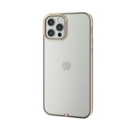 エレコム iPhone 12 iPhone 12 Pro ソフトケース サイドメッキ 極み ゴールド(PM-A20BUCTMGD) 目安在庫=△【期間数量限定】