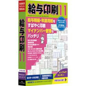 TB 給与印刷 11(対応OS:その他)(CIDD49) 取り寄せ商品