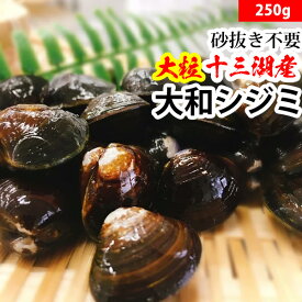 赤羽屋磯辺商店 青森の味！【産直 冷凍】砂抜き不要 十三湖産 大和シジミ 中〜大粒 250g 特産品