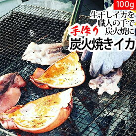 赤羽屋磯辺商店 青森の味！【産直 冷凍】炭火焼きイカ 100g(4582390700716) 特産品