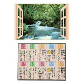 昭プラ お風呂のポスター 四季彩 奥入瀬の渓流 + 薬用入浴剤ギフトセット(B6133529+8095652) 取り寄せ商品