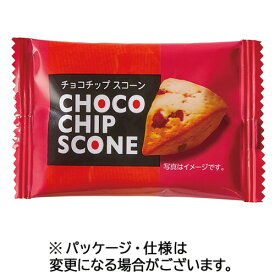 マイナット チョコチップスコーン 1箱(20個)(021722) 取り寄せ商品