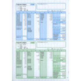 ソリマチ SR230 給与・賞与明細書(明細タテ型)500枚入(対応OS:その他) メーカー在庫品