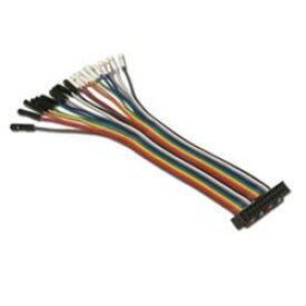 ラトックシステム SPI/I2Cばら線ケーブル(約15cm) RCL-USB61 取り寄せ商品